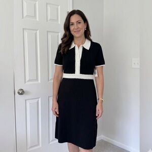 Ellen Tracy Black and White Collared Dress